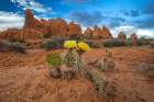 Sunset, Devils Garden, Arches National Park, Utah, USA. Art Print